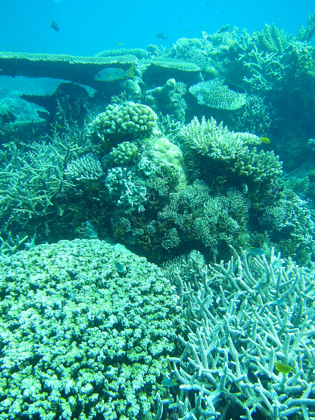 The Northeast Wall 24