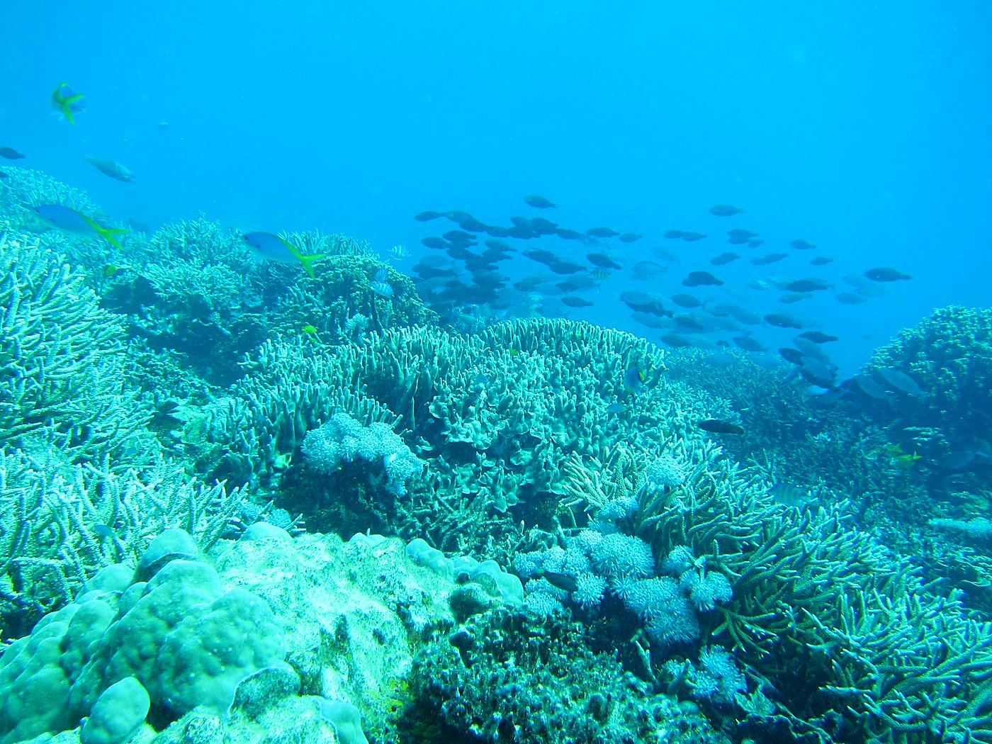 The Northeast Wall 25