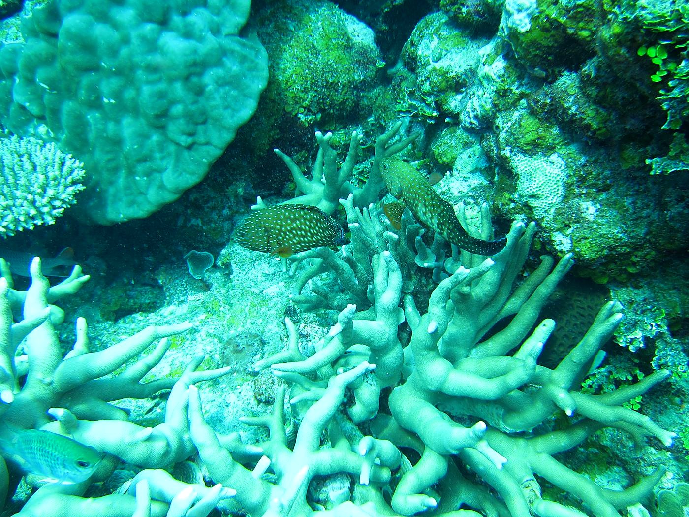 The Northeast Wall 26