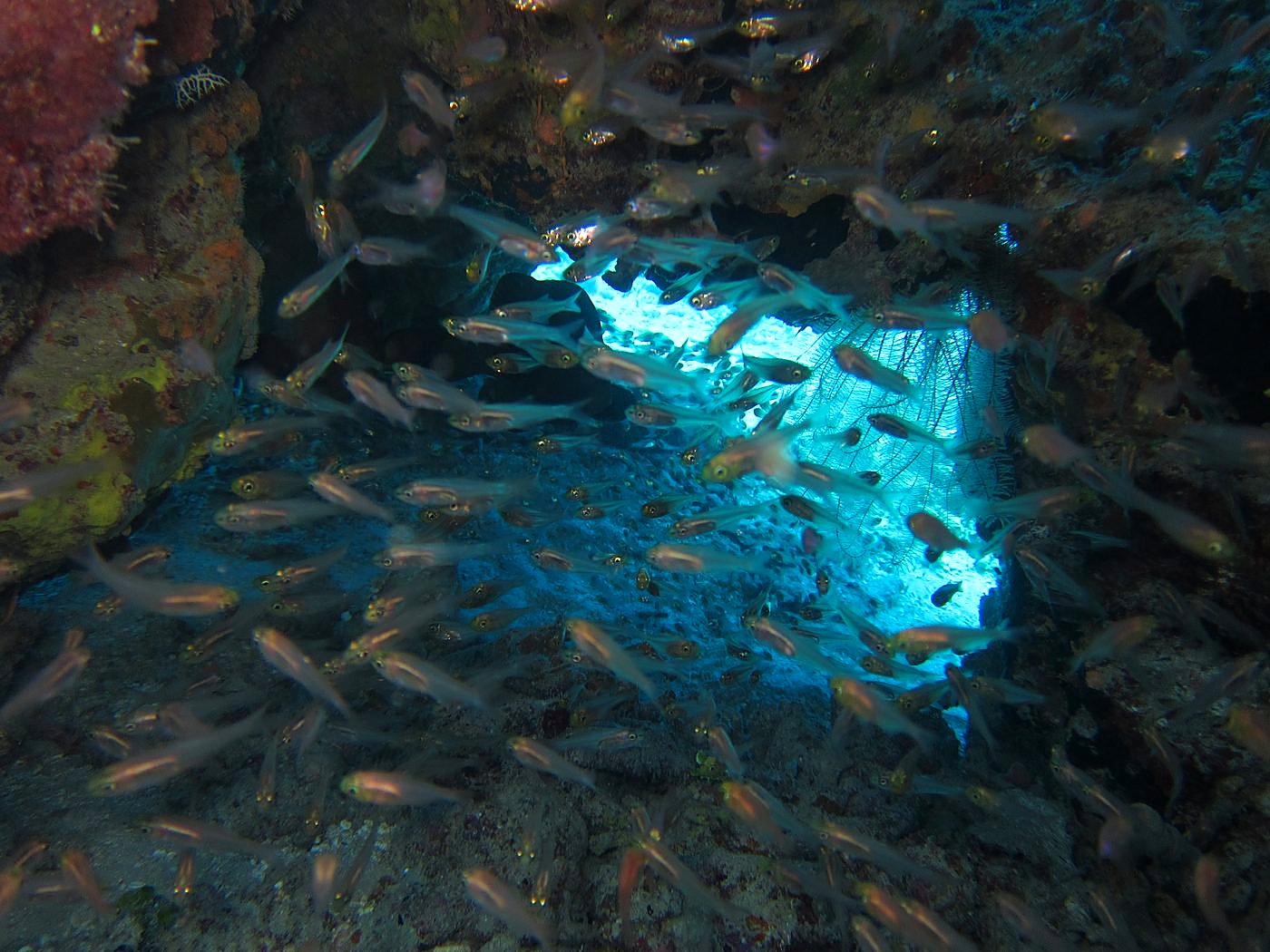 The Northeast Wall 29