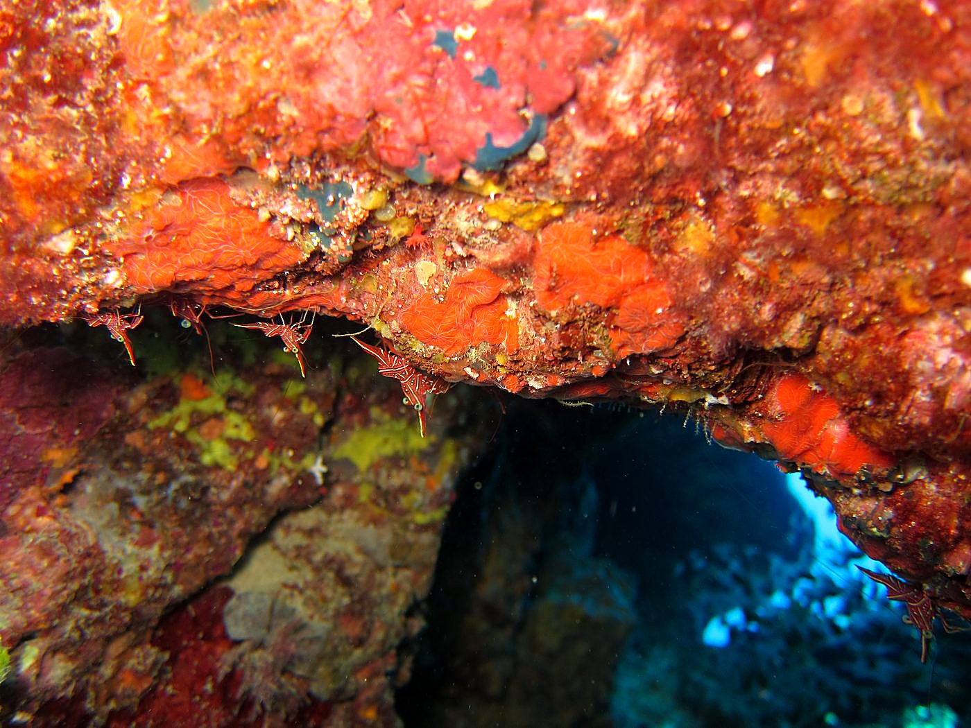 The Northeast Wall 31