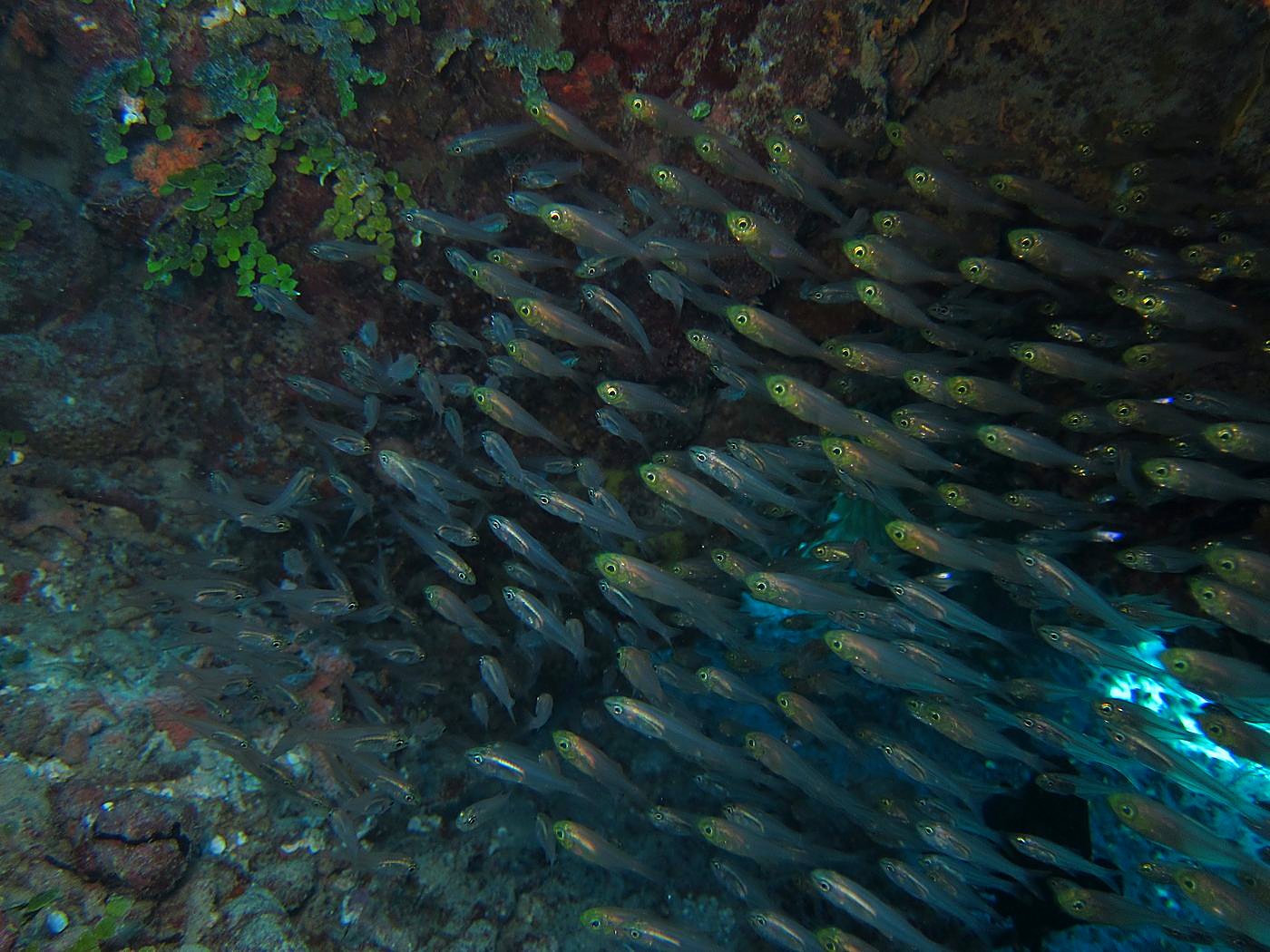 The Northeast Wall 36