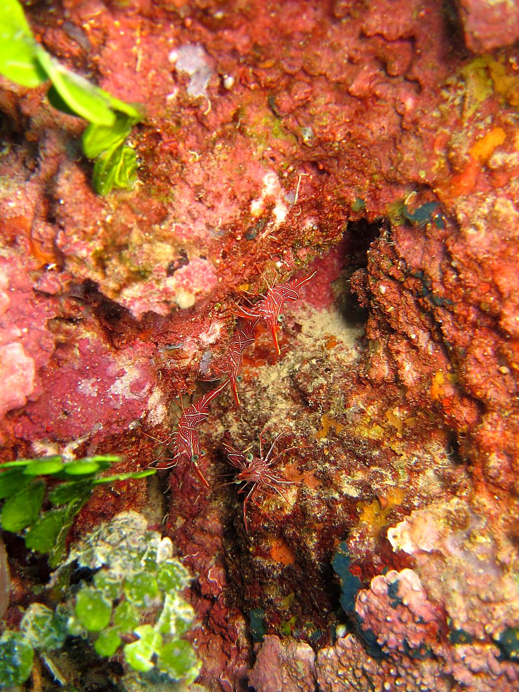 The Northeast Wall 37