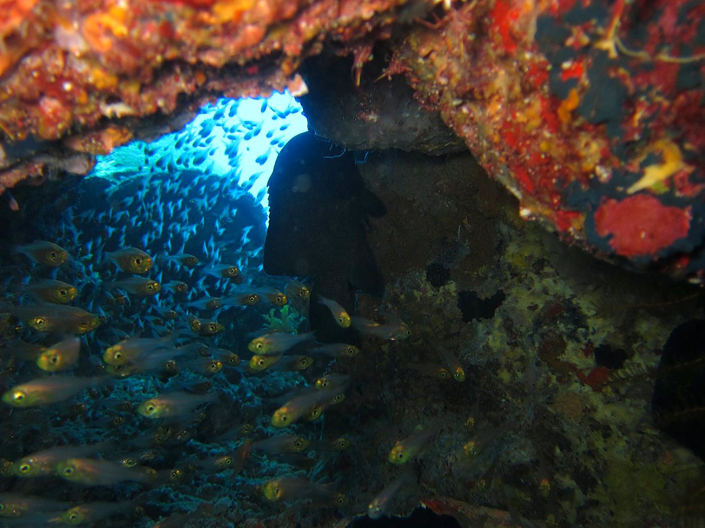 The Northeast Wall 38