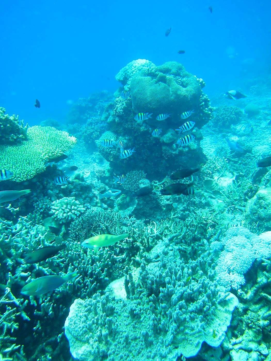 The Northeast Wall 42