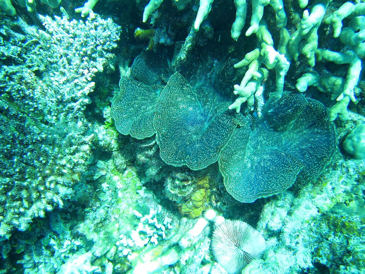 The Northeast Wall 43
