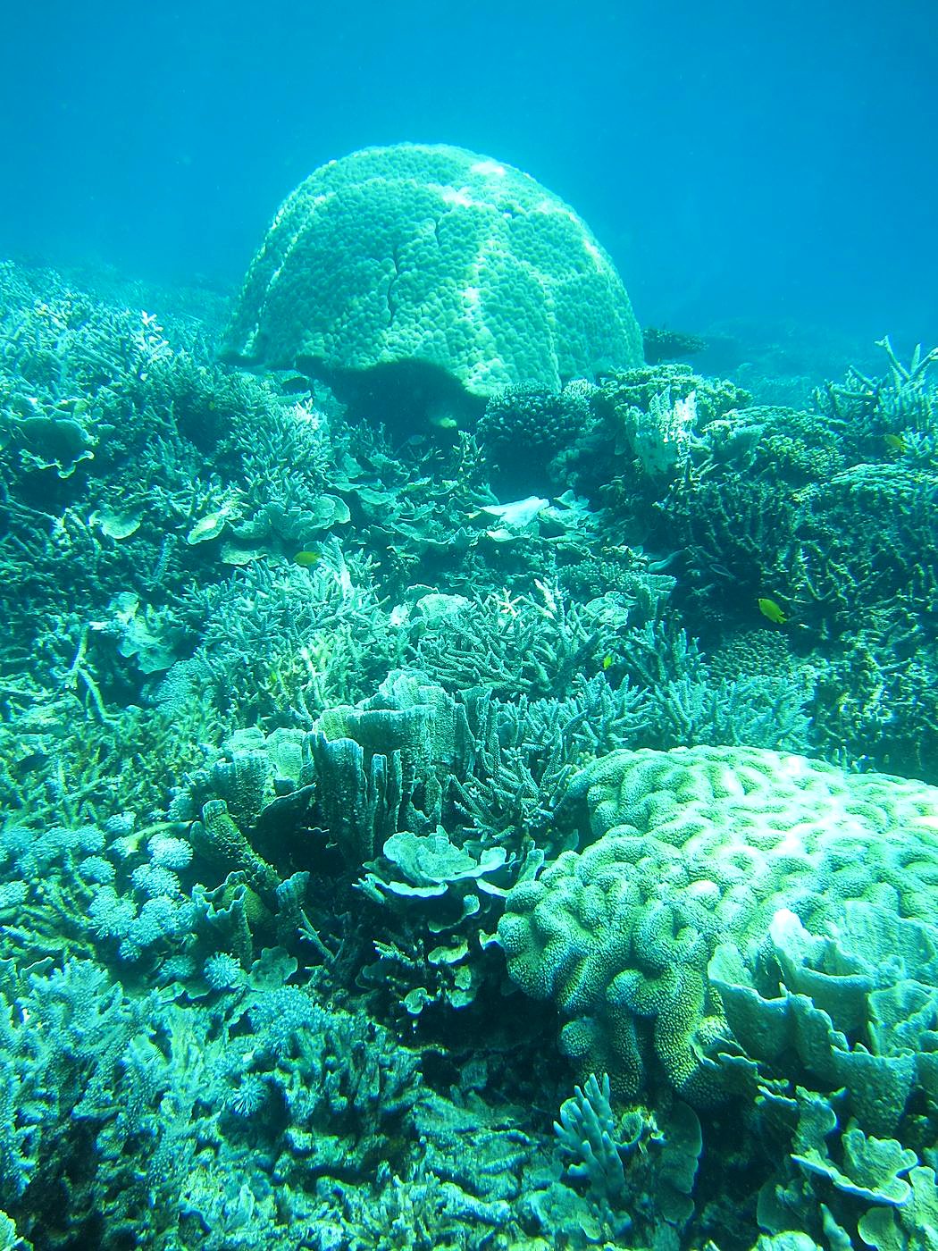 The Northeast Wall 44