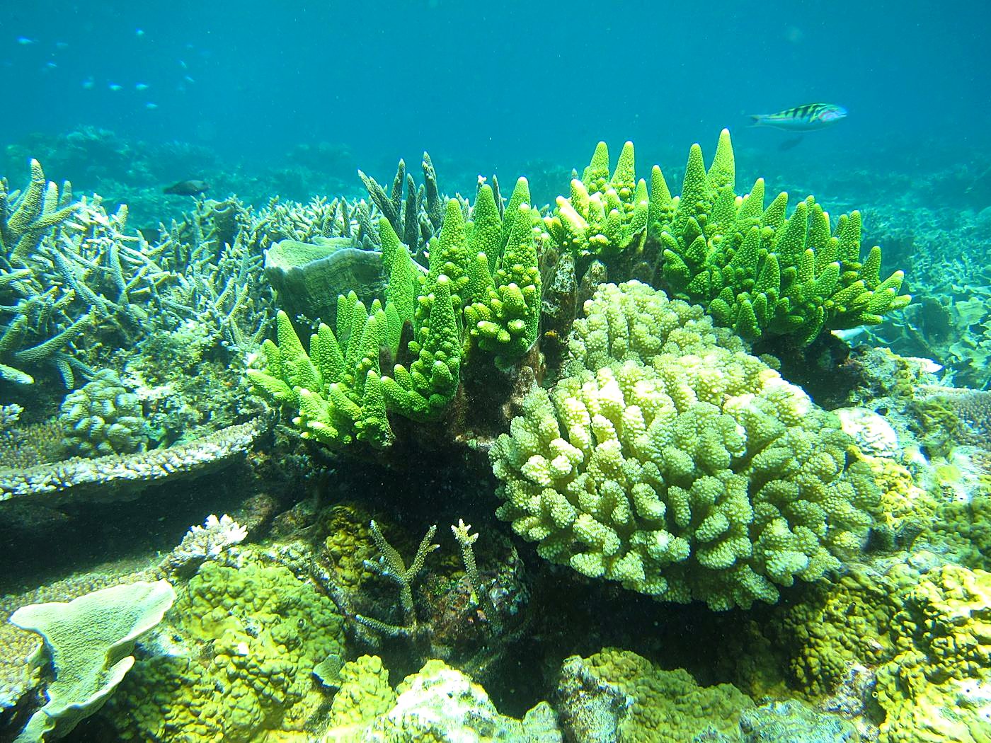 The Northeast Wall 45