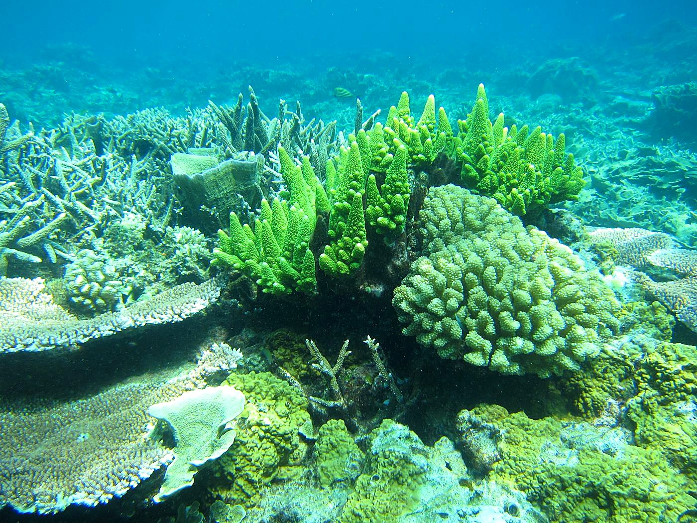 The Northeast Wall 46
