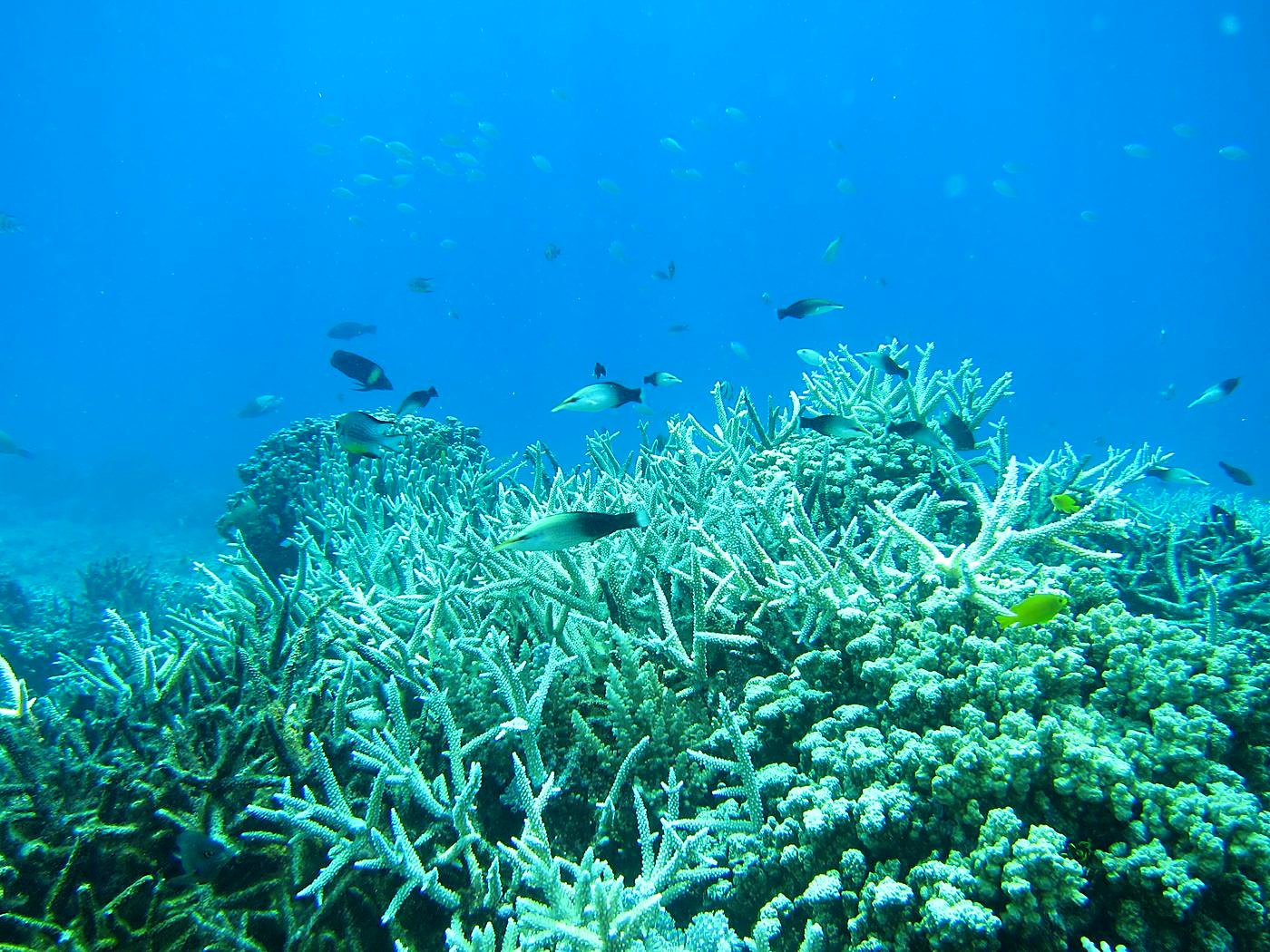 The Northeast Wall 47