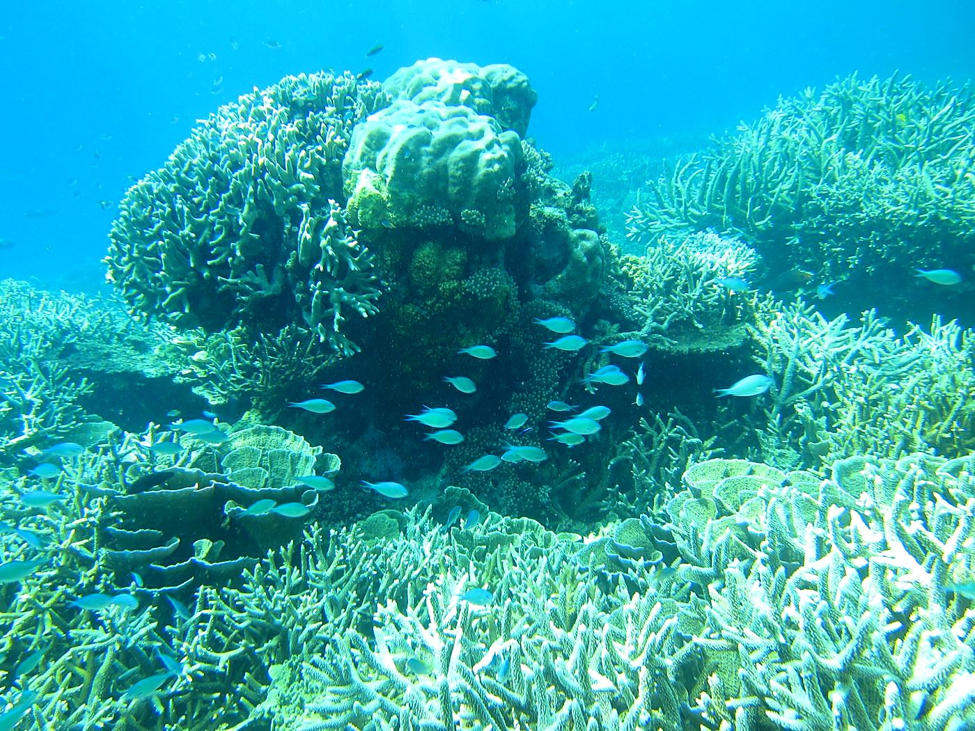 The Northeast Wall 51