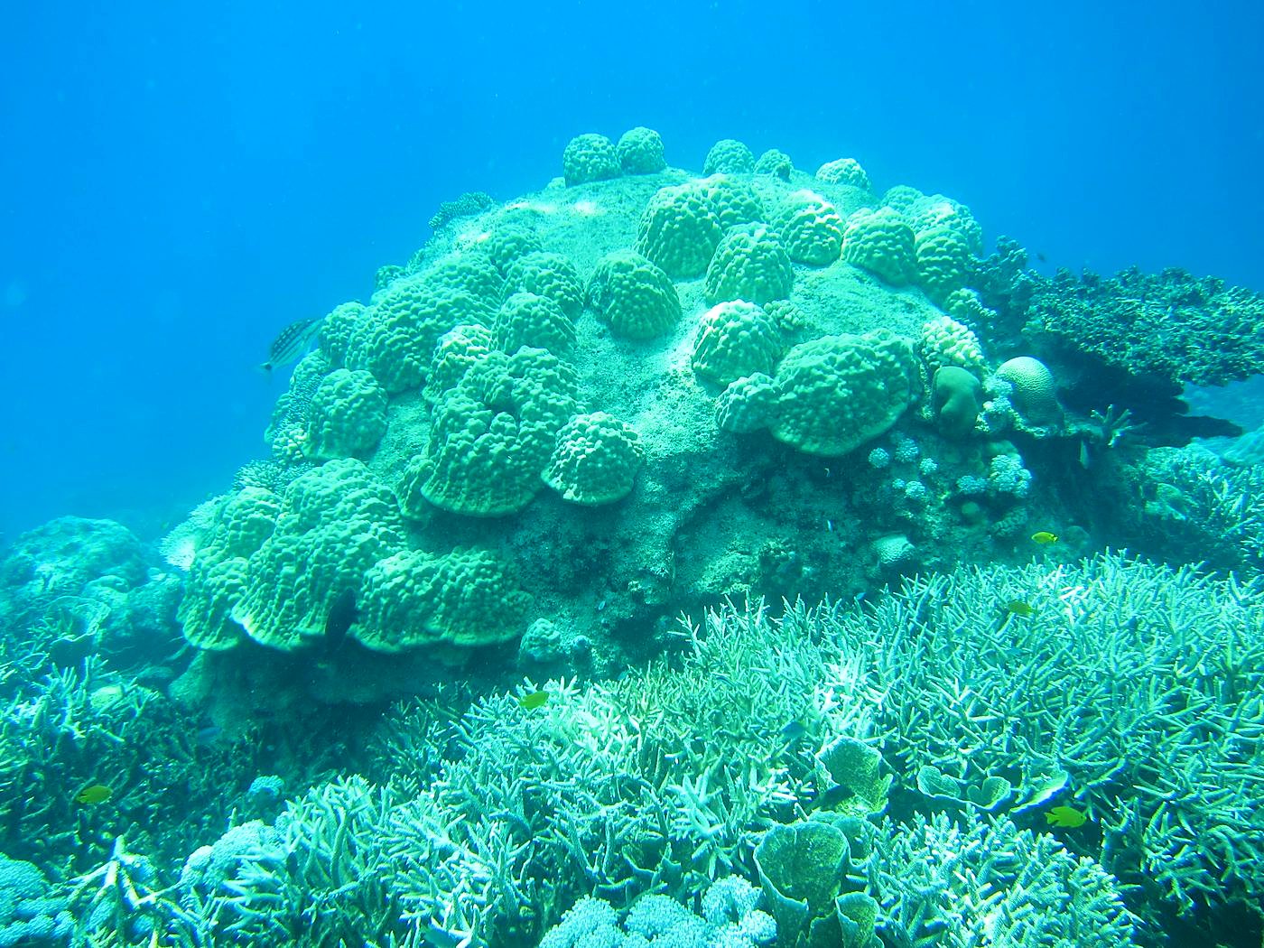 The Northeast Wall 53