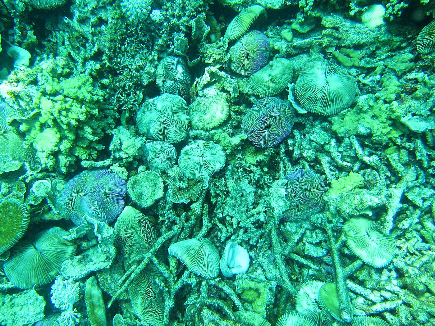 The Northeast Wall 55