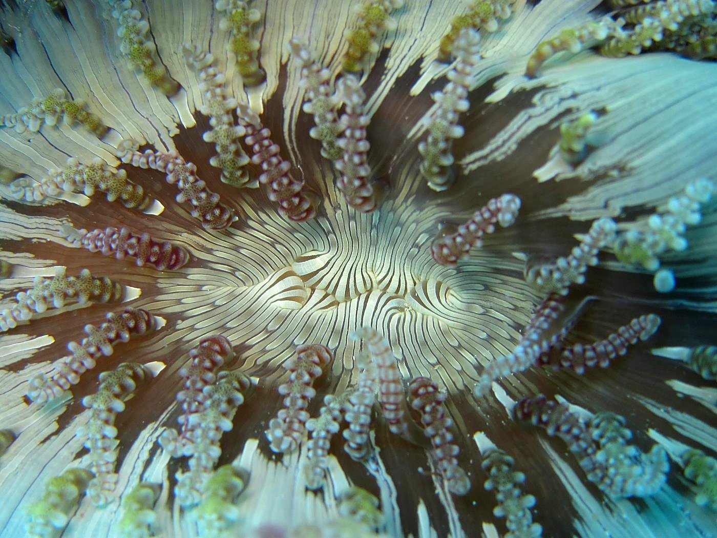 Outer Reef, West Side 7