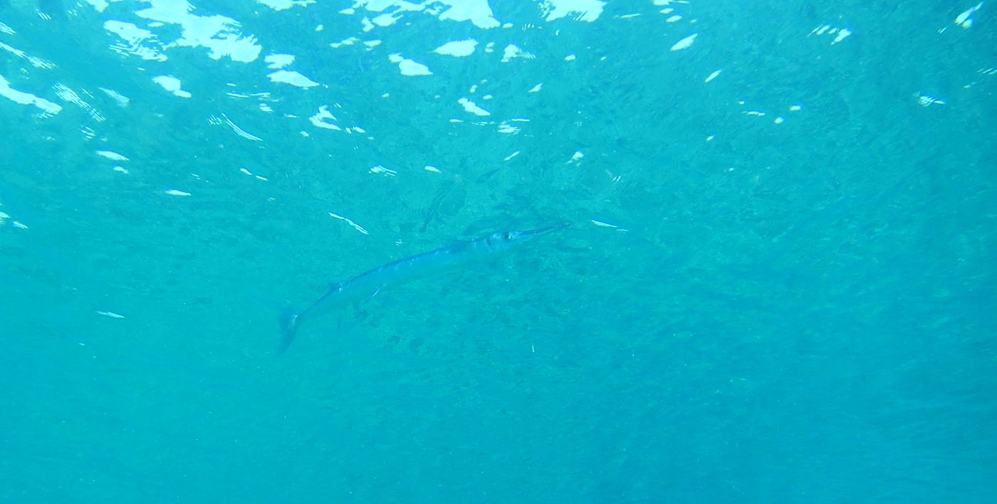Reef Top, East Side 27