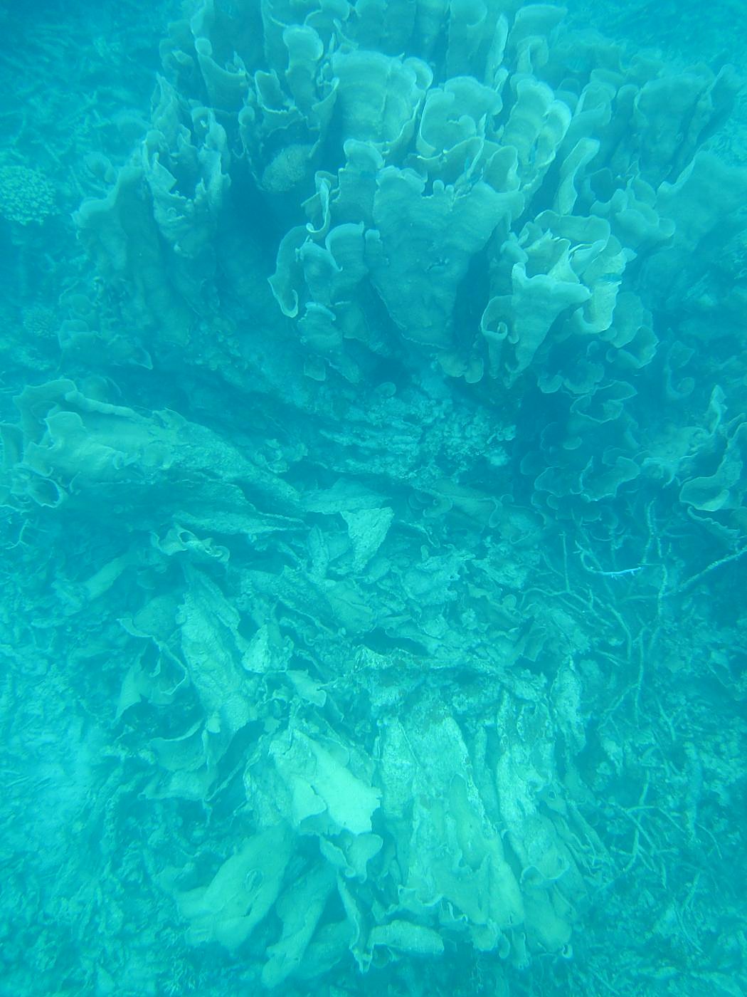Reef Top, West Side 9