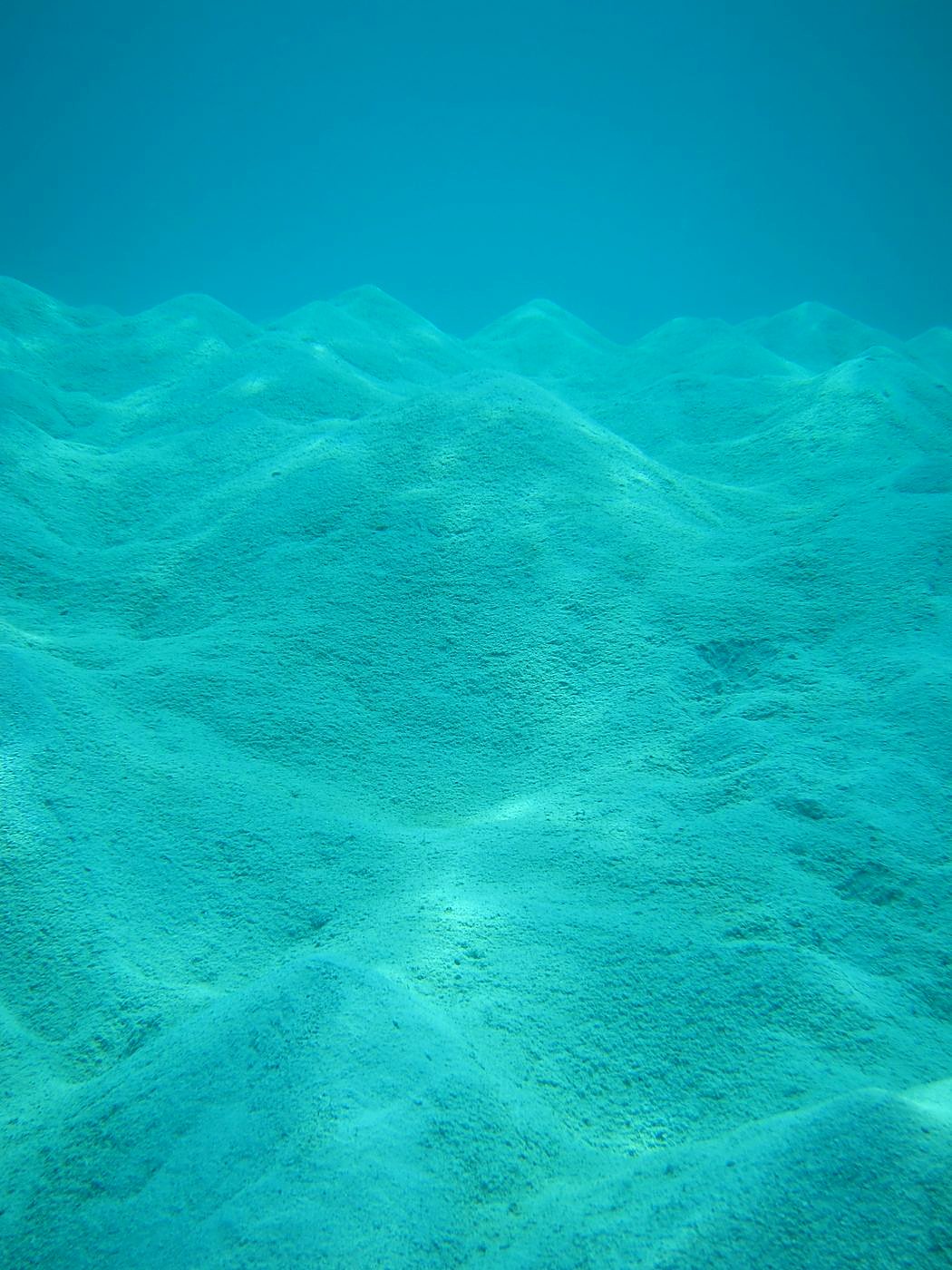 The Sand Flats 4