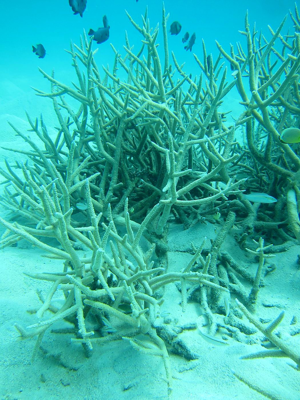 The Sand Flats 10