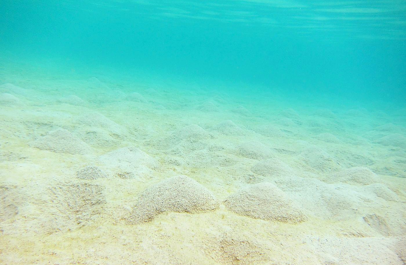 The Sand Flats 12