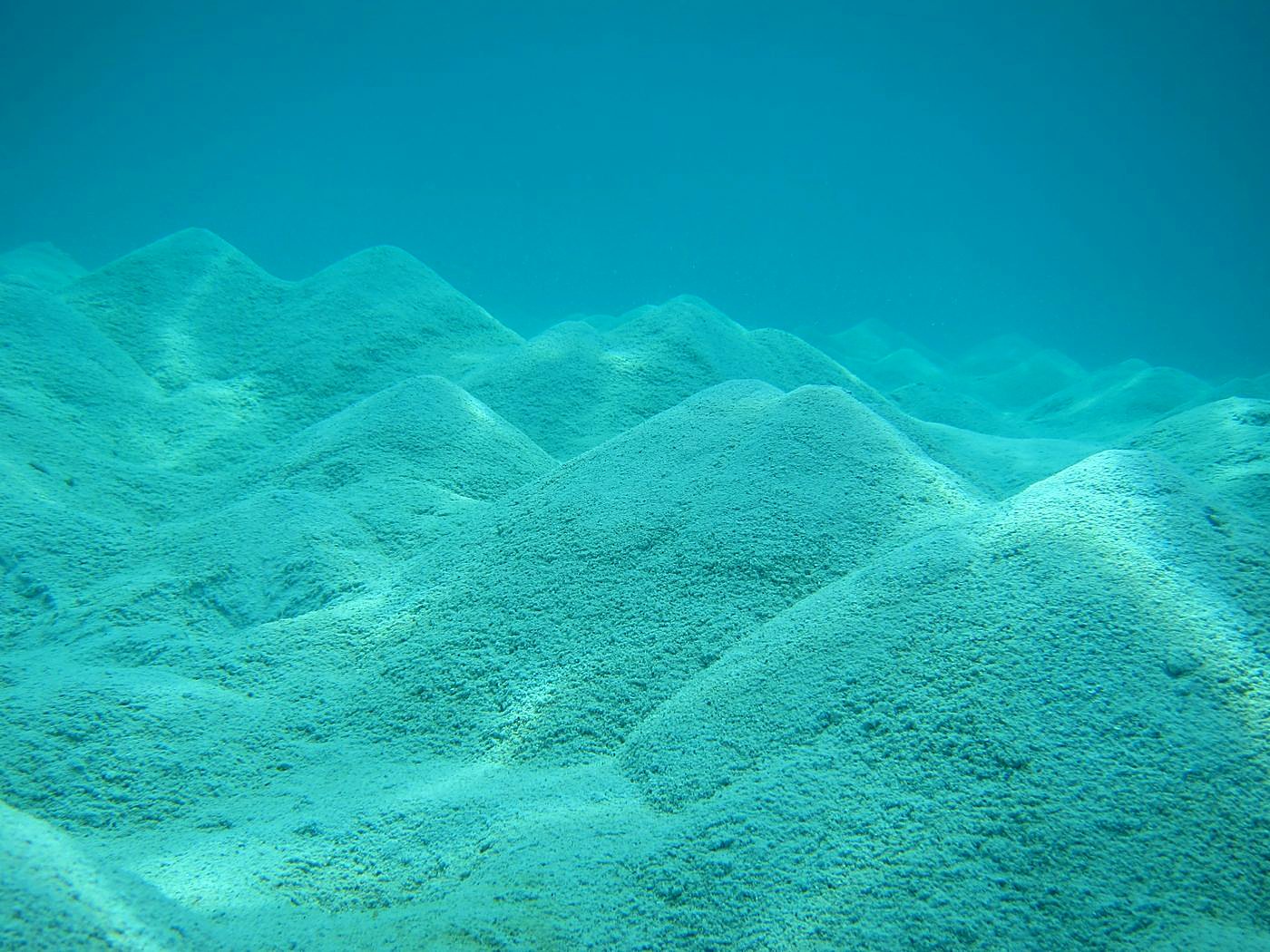 The Shallow Lagoon 18