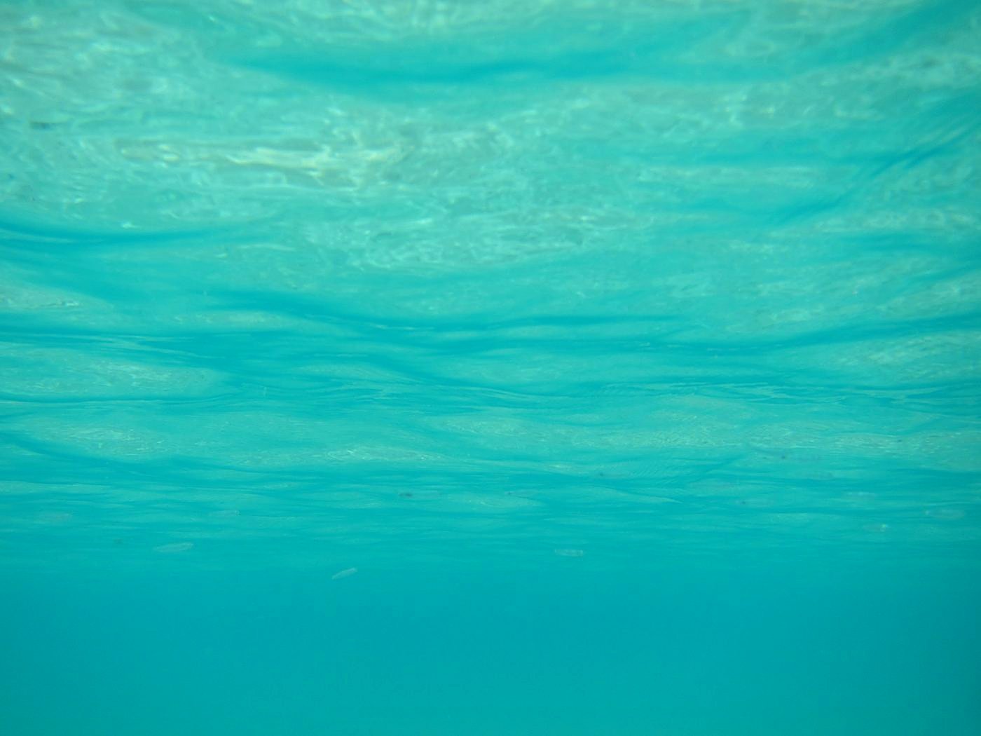 The Shallow Lagoon 25
