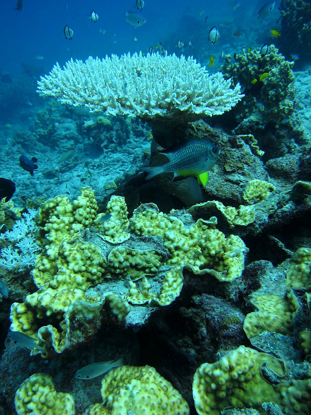 Return Visit, April 2012 16