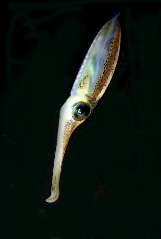 Below the Water Line 8