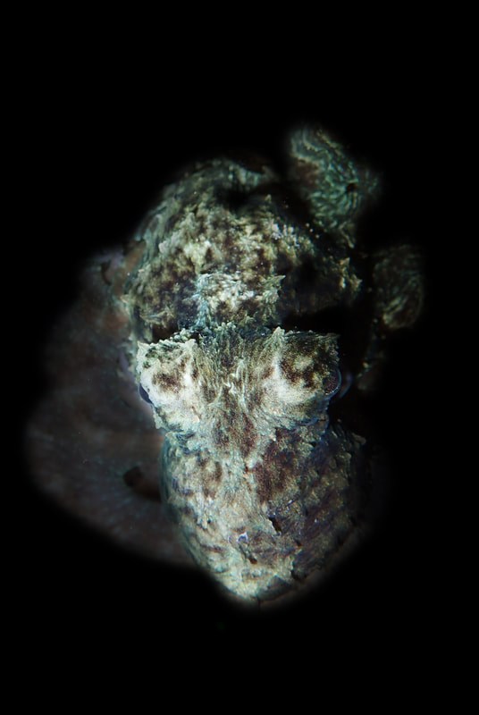 Below the Water Line 11