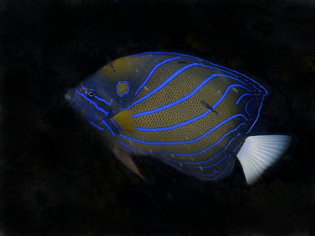 Below the Water Line 14