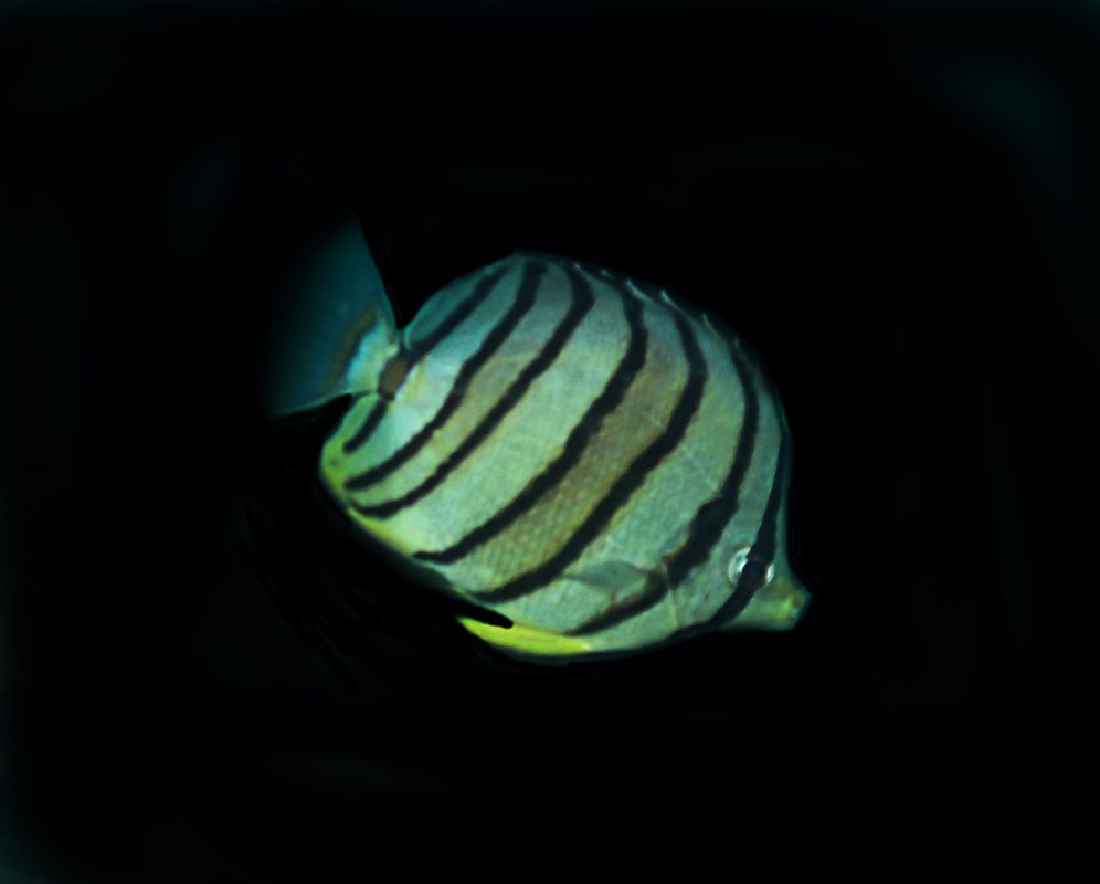 Below the Water Line 16