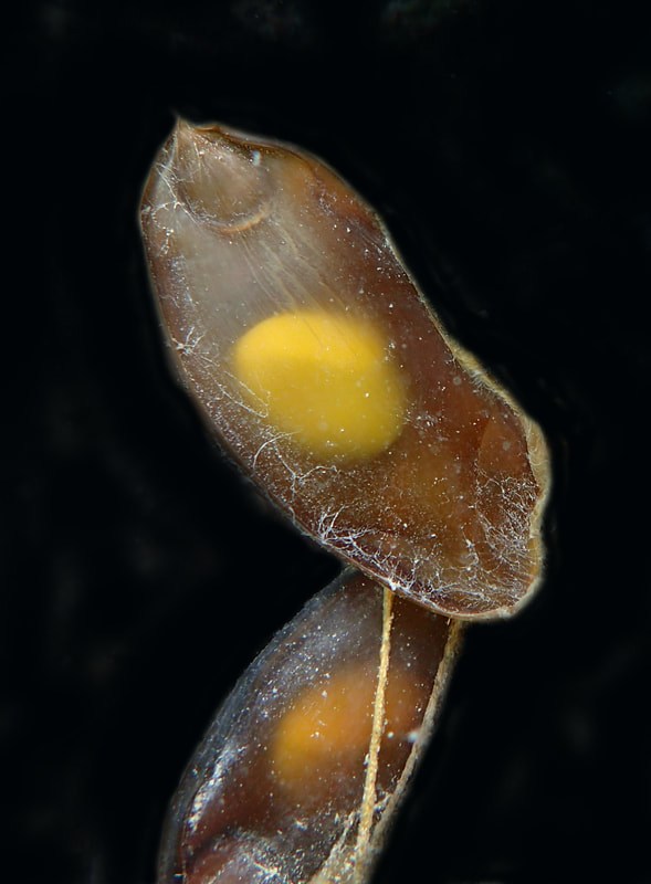 Below the Water Line 18