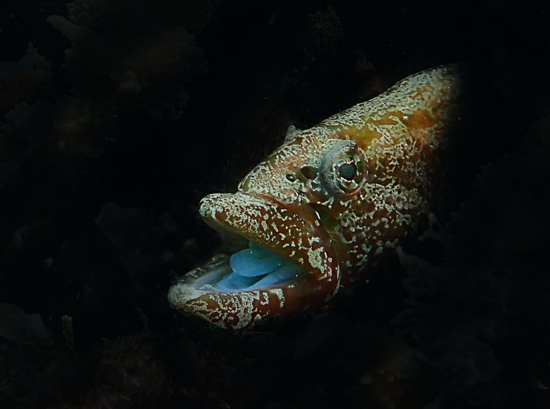 Below the Water Line 19
