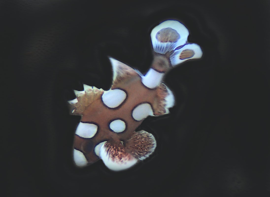 Below the Water Line 20