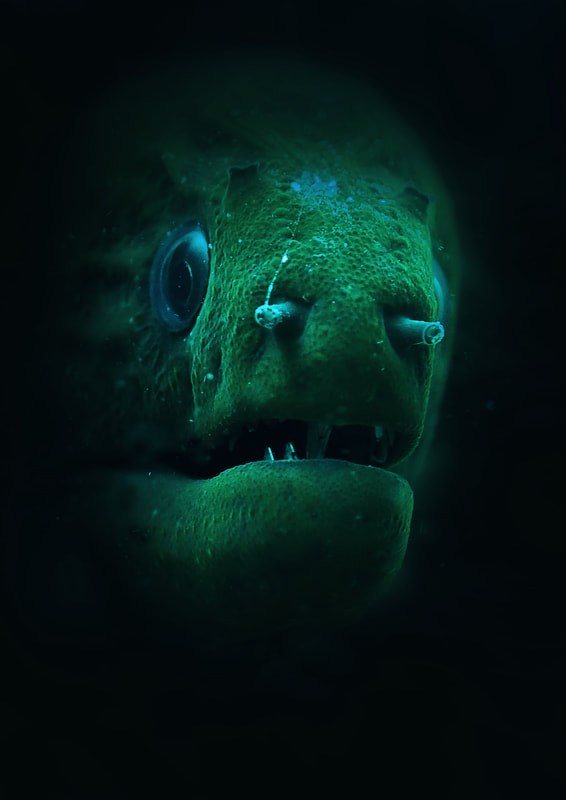 Below the Water Line 21