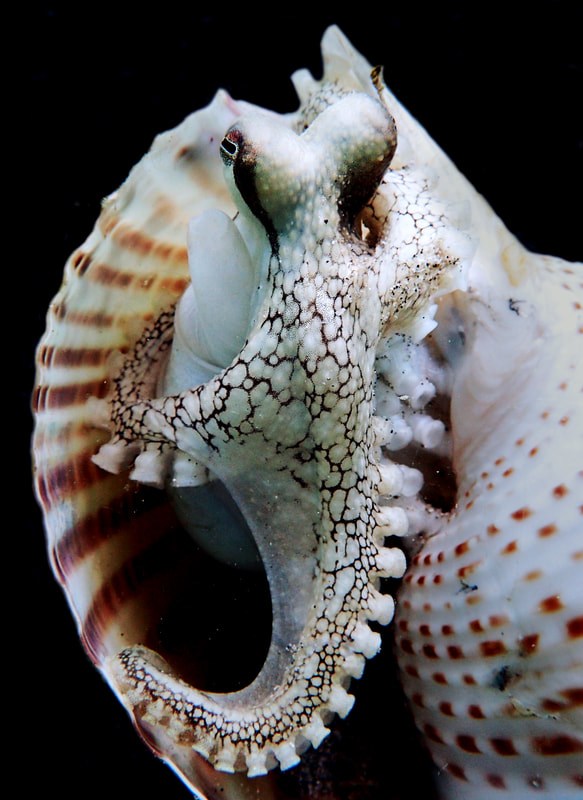 Below the Water Line 24