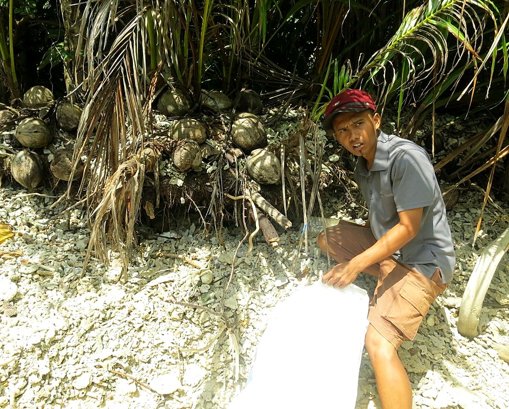 Collecting an oil residue sample among mangrove roots, January 2014