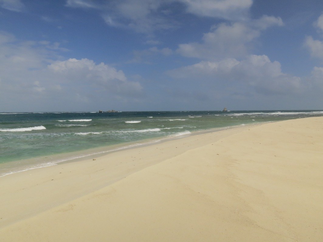 Conservation Surveys 1