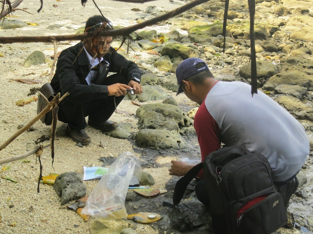 Conservation Surveys 8