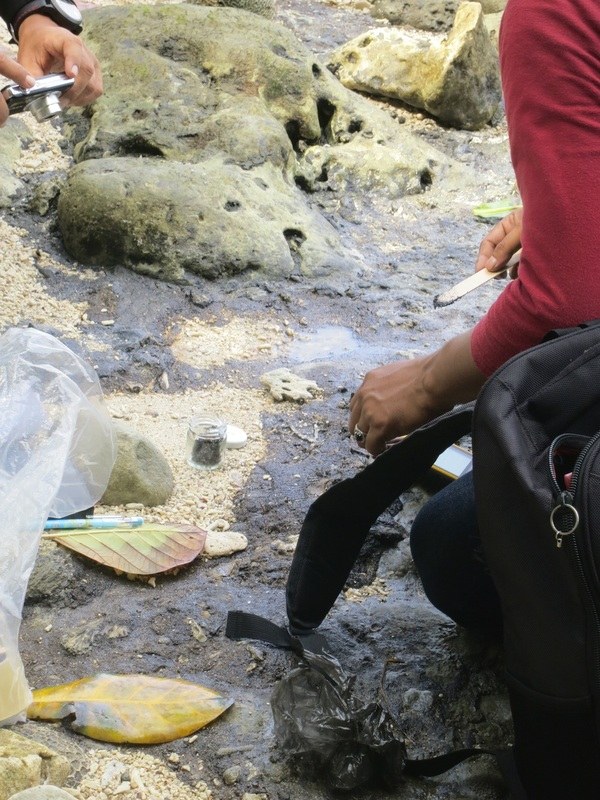 Conservation Surveys 9