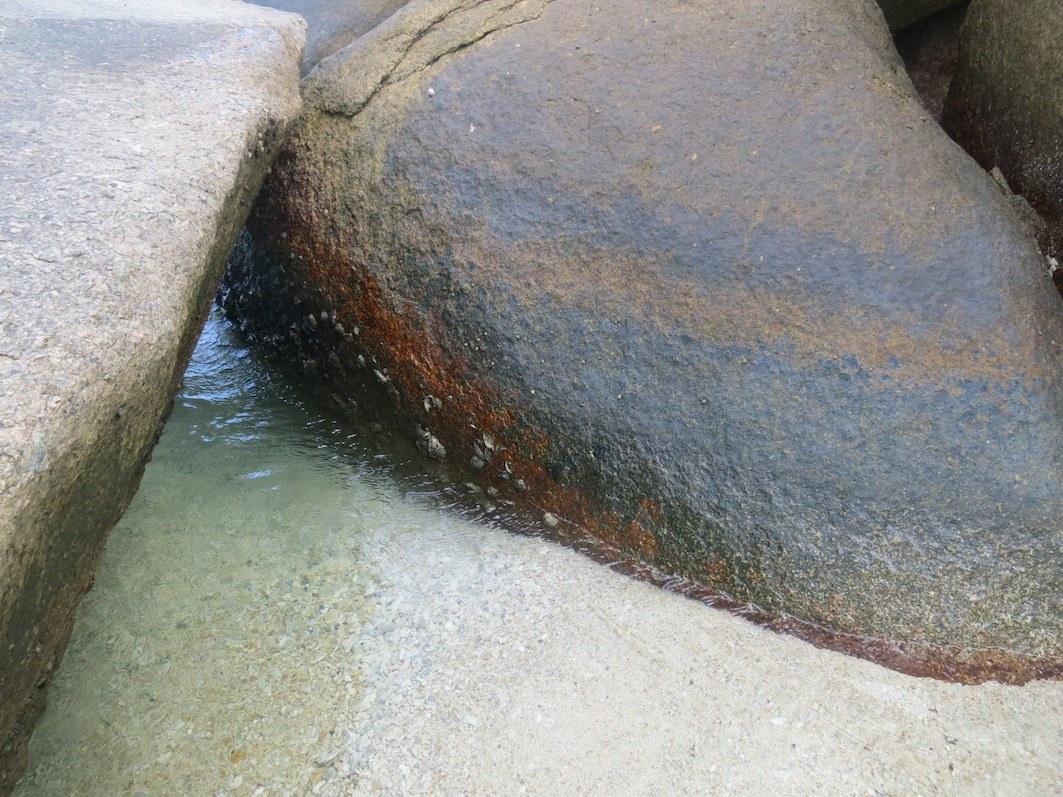 Conservation Surveys 14