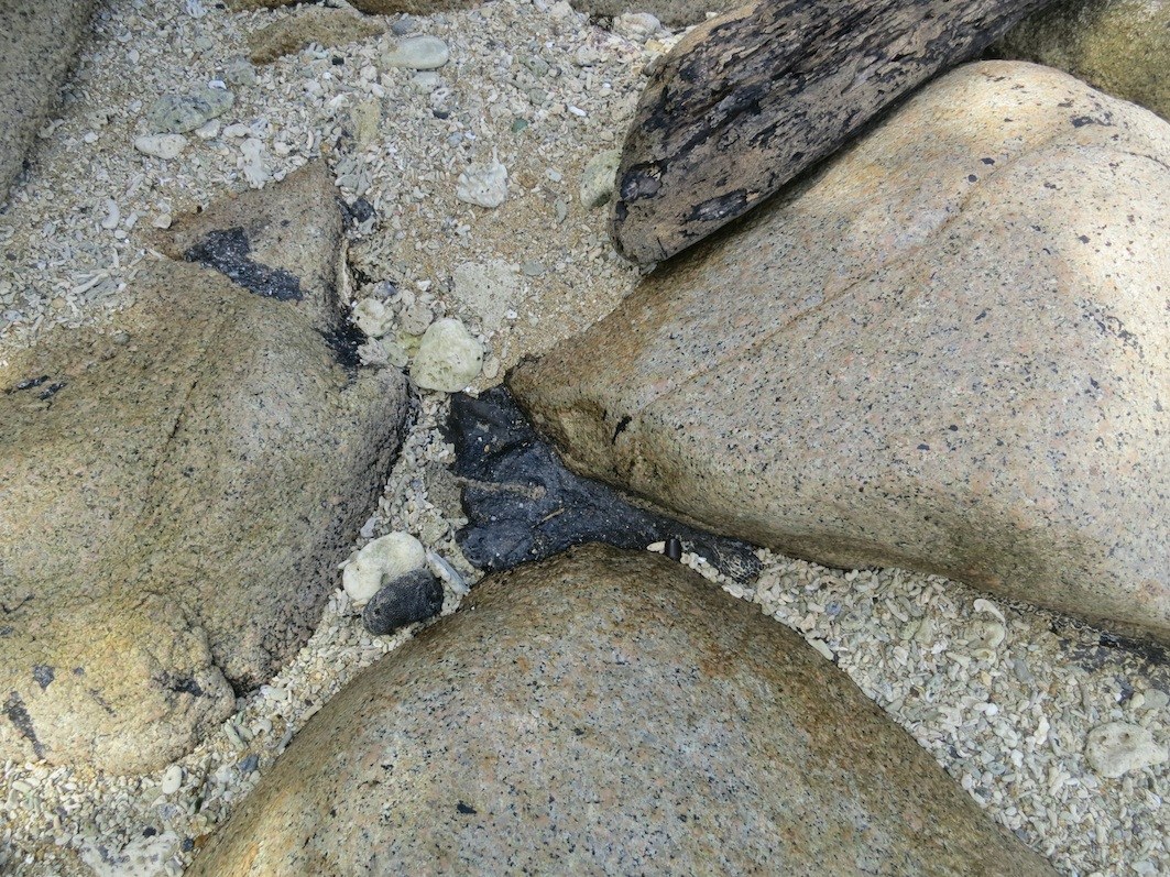 Conservation Surveys 16