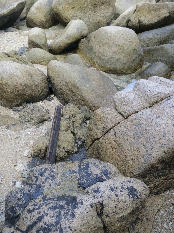 Conservation Surveys 18