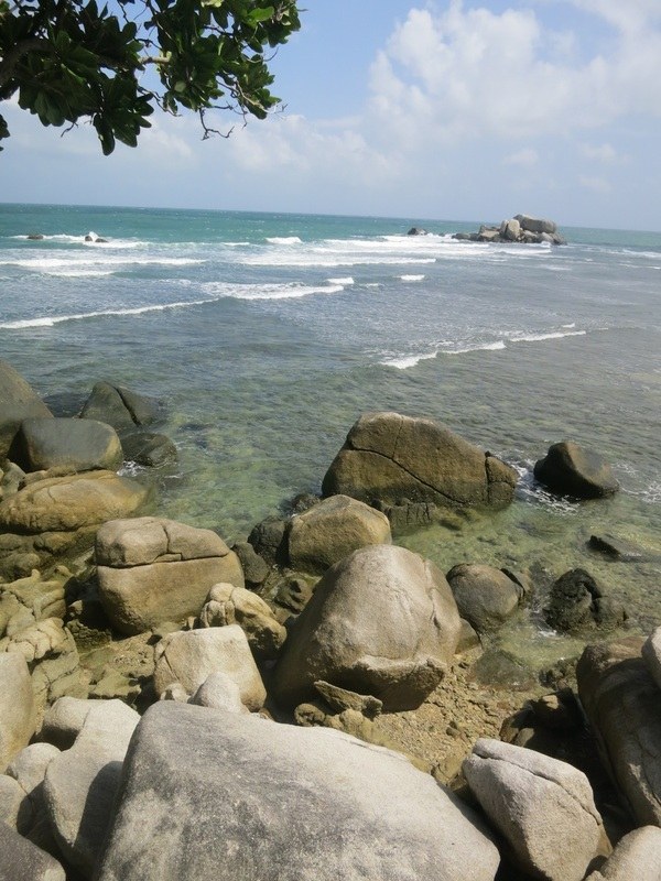 Conservation Surveys 19