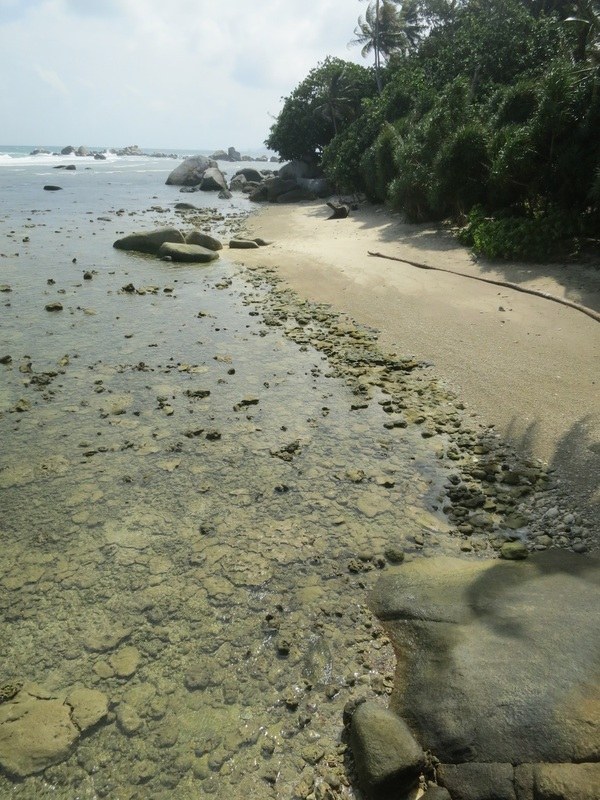 Conservation Surveys 20