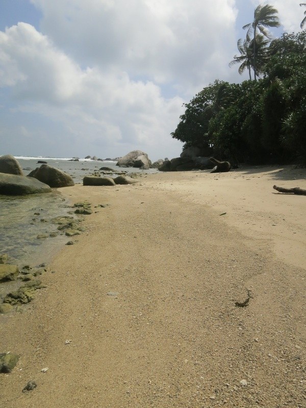 Conservation Surveys 22