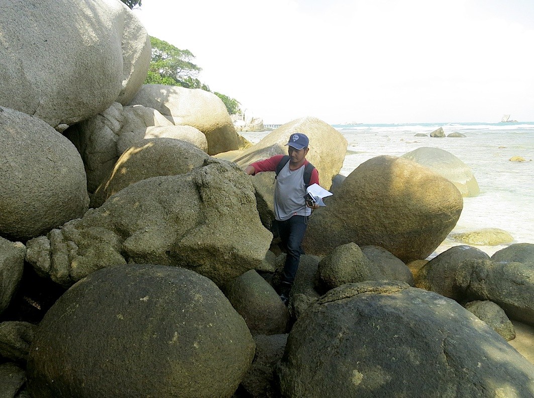 Conservation Surveys 24
