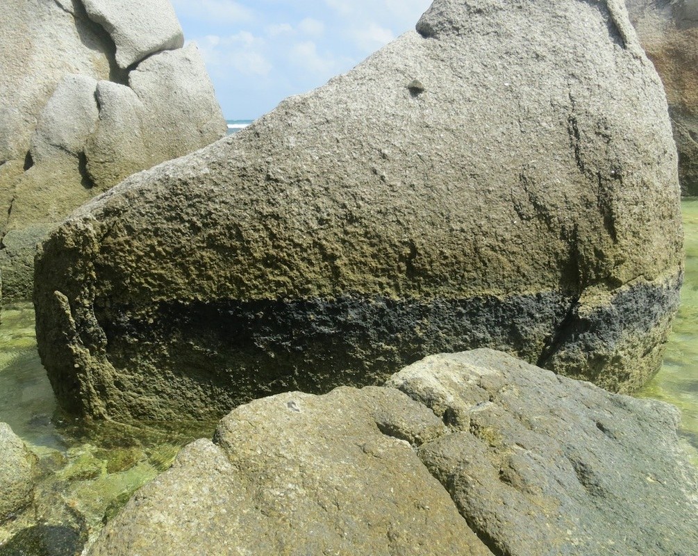 Conservation Surveys 25