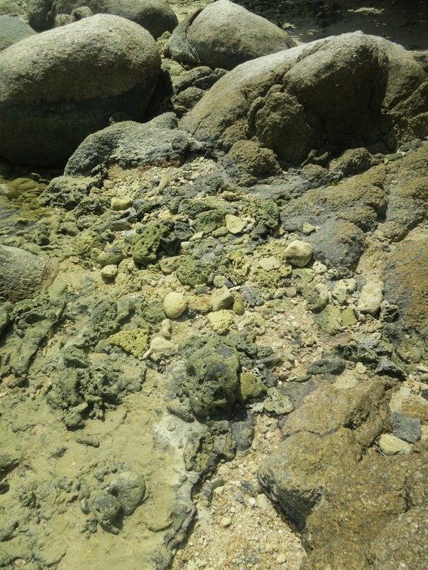 Conservation Surveys 27