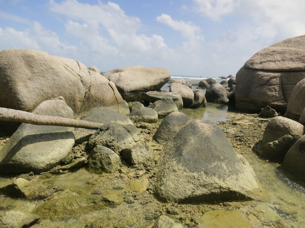 Conservation Surveys 29