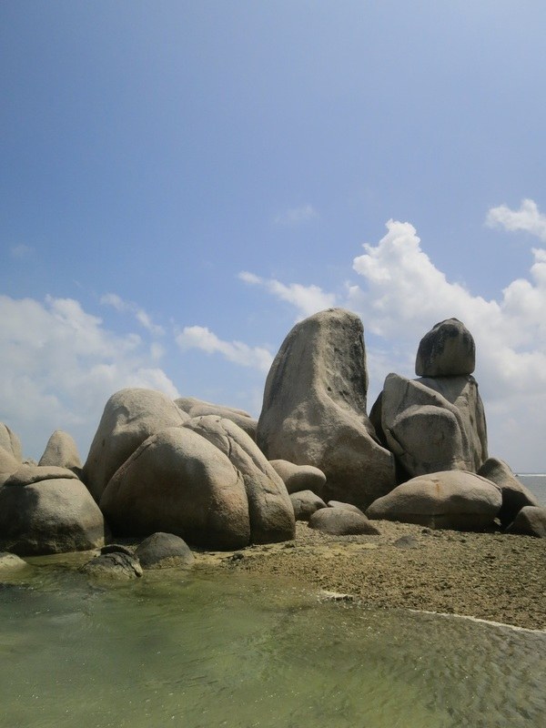 Conservation Surveys 34